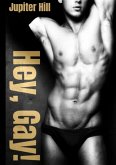 Hey, Gay! (eBook, ePUB)