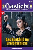 Das Spukbild im Grafenschloss (eBook, ePUB)