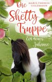 Die Shettytruppe (eBook, ePUB)