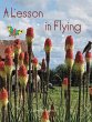 A Lesson in Flying - Bild 1