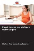 Expériences de violence domestique