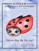 Ginger Lady Bug's Adventures ''Morro Bay by the Sea'' (eBook, ePUB)