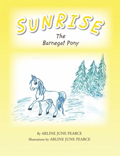 Sunrise the Barnegat Pony (eBook, ePUB) Sunrise the Barnegat Pony (eBook, ePUB)