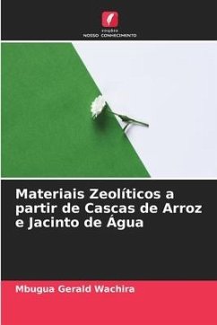 Materiais Zeolíticos a partir de Cascas de Arroz e Jacinto de Água - Gerald Wachira, Mbugua