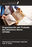 Organización del Tratado del Atlántico Norte (OTAN)