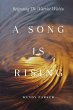 A Song is Rising - Bild 1