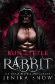 Run, Little Rabbit (eBook, ePUB)