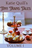 Katie Quill's Tiny Trans Tales (eBook, ePUB)