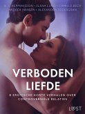 Verboden liefde - 8 Erotische korte verhalen over controversiële relaties (eBook, ePUB)