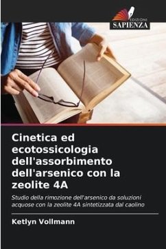 Cinetica ed ecotossicologia dell'assorbimento dell'arsenico con la zeolite 4A - Vollmann, Ketlyn