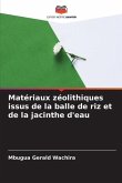 Matériaux zéolithiques issus de la balle de riz et de la jacinthe d'eau