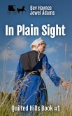In Plain Sight (Quilted Hills, #1) (eBook, ePUB)