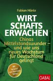 Wirtschaftserwachen (eBook, PDF)