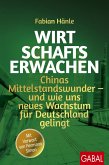 Wirtschaftserwachen (eBook, ePUB)