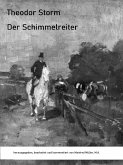 Der Schimmelreiter (eBook, ePUB)