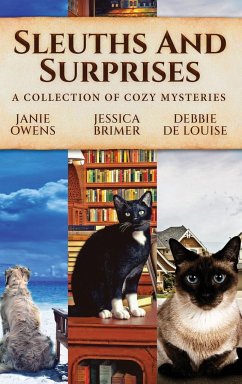 Sleuths and Surprises - Brimer, Jessica; De Louise, Debbie; Owens, Janie