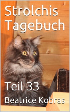 Strolchis Tagebuch - Teil 33 (eBook, ePUB) - Kobras, Beatrice