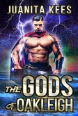 The Gods of Oakleigh (eBook, ePUB) The Gods of Oakleigh (eBook, ePUB)