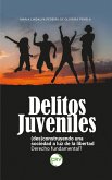 Delitos Juveniles (eBook, ePUB)