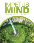 Impetus Mind (eBook, ePUB)