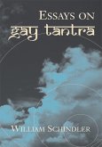 Essays on Gay Tantra (eBook, ePUB)