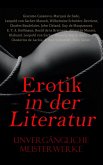 Erotik in der Literatur: Unvergängliche Meisterwerke (eBook, ePUB)