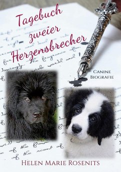 Tagebuch zweier Herzensbrecher - Rosenits, Helen Marie