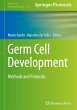 Germ Cell Development - Bild 1