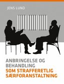 Anbringelse og behandling som strafferetlig særforanstaltning (eBook, ePUB)