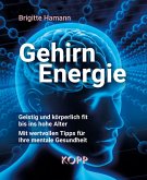 Gehirnenergie (eBook, ePUB)