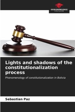 Lights and shadows of the constitutionalization process - Paz, Sebastián
