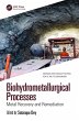 Biohydrometallurgical Processes (eBook,... - Bild 1