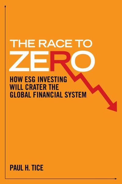 The Race to Zero (eBook, ePUB) The Race to Zero (eBook, ePUB)