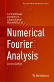 Numerical Fourier Analysis (eBook, PDF)