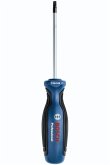 Bosch Schraubendreher TX 25 x 100