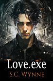 Love.exe (eBook, ePUB)