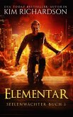 Elementar (Seelenwächter, #2) (eBook, ePUB)