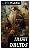 Irish Druids (eBook, ePUB)