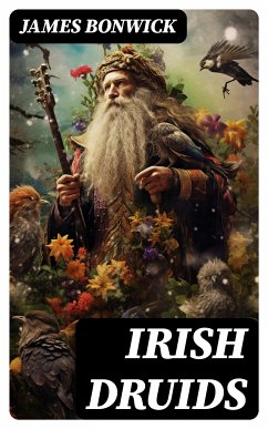 Irish Druids (eBook, ePUB) - Bonwick, James