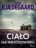 Ciało na wrzosowisku (eBook, ePUB)