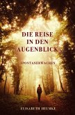 Die Reise in den Augenblick (eBook, ePUB)