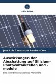 Auswirkungen der Abschattung auf Silizium-Photovoltaikzellen und -module