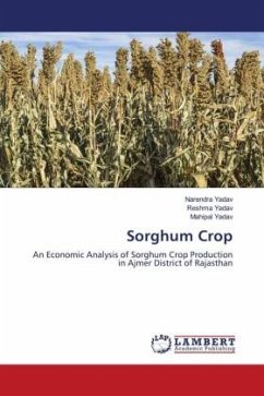 Sorghum Crop