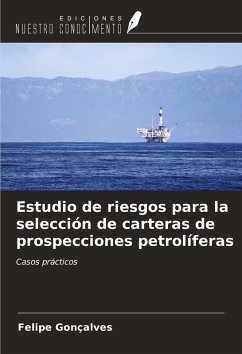 Estudio de riesgos para la selección de carteras de prospecciones petrolíferas - Gonçalves, Felipe