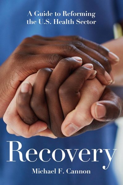 Recovery (eBook, ePUB)