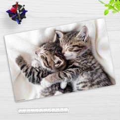Cover Cover-your-desk Schreibtischunterlage für Kinder schmusende Kätzchen, aus hochwertigem Vinyl , 60 x 40 cm