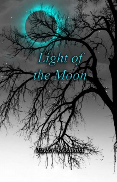 Light of the Moon (eBook, ePUB)