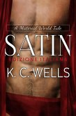 Satin (A Material World EDIZIONE ITALIANA, #2) (eBook, ePUB)