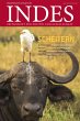 Scheitern (eBook, PDF) - Bild 1