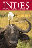 Scheitern (eBook, PDF)